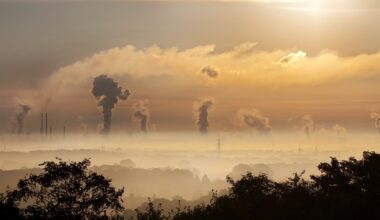 Atmospheric carbon dioxide rise to remain too fast to track global climate targets in 2026