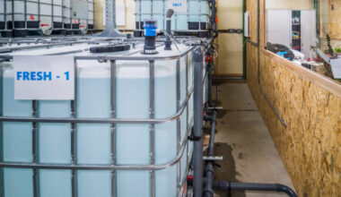 Long-duration storage as an antidote to grid congestion, renewables curtailment – pv magazine International