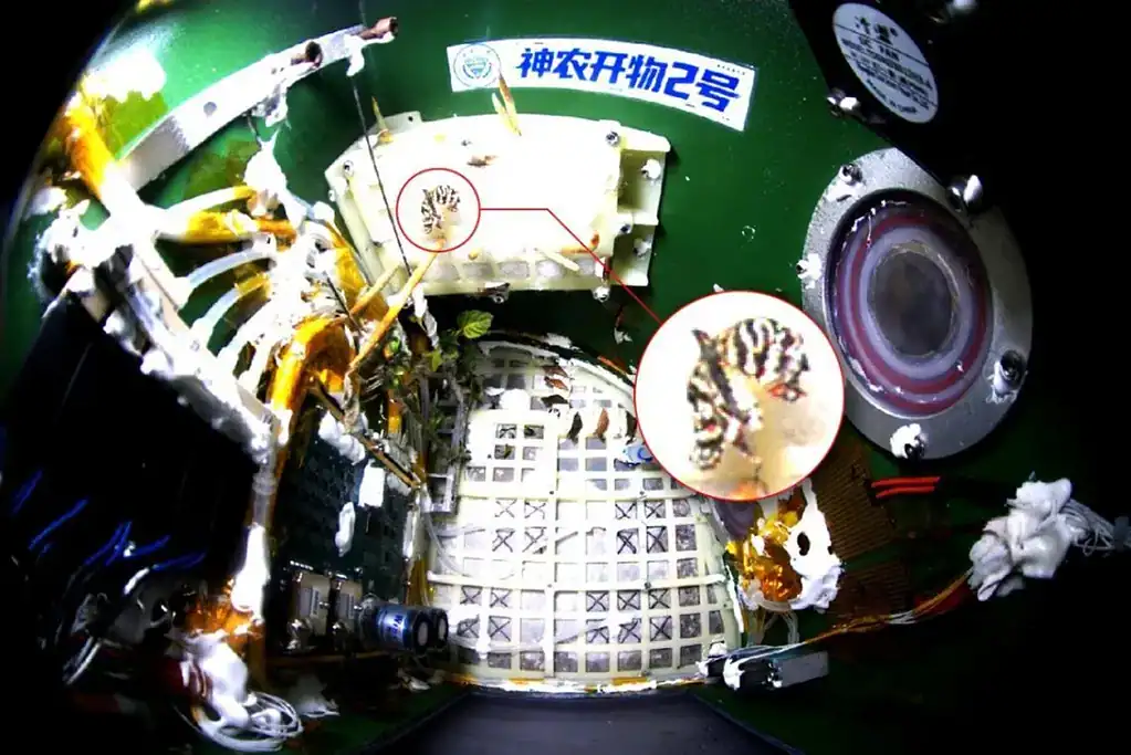 Inside a spacecraft with scientific instruments and equipment for space research.