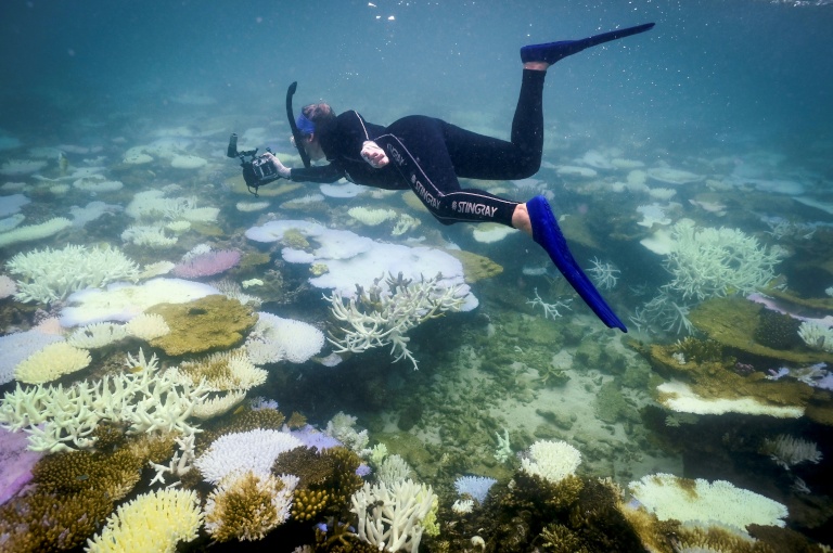 Australia’s Great Barrier Reef experienced rising heat stress between 2014 and 2017, a period that has come to be known as the the three-year period known as the “Third Global Bleaching Event”. (Photo: AFP)