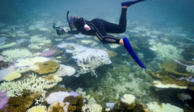 Bangkok Post - Three-year heatwave ‘bleached half the planet’s coral reefs’