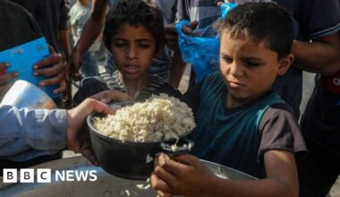 Aid groups in Gaza and West Bank thrown lifeline as Israel court pauses ban threat