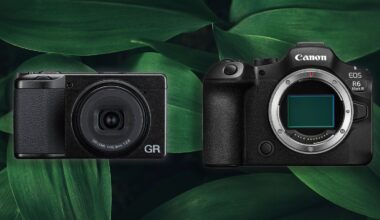 Two black digital cameras, one compact and one larger DSLR, are displayed side by side against a background of large green leaves. The compact camera is on the left, and the larger camera with no lens is on the right.