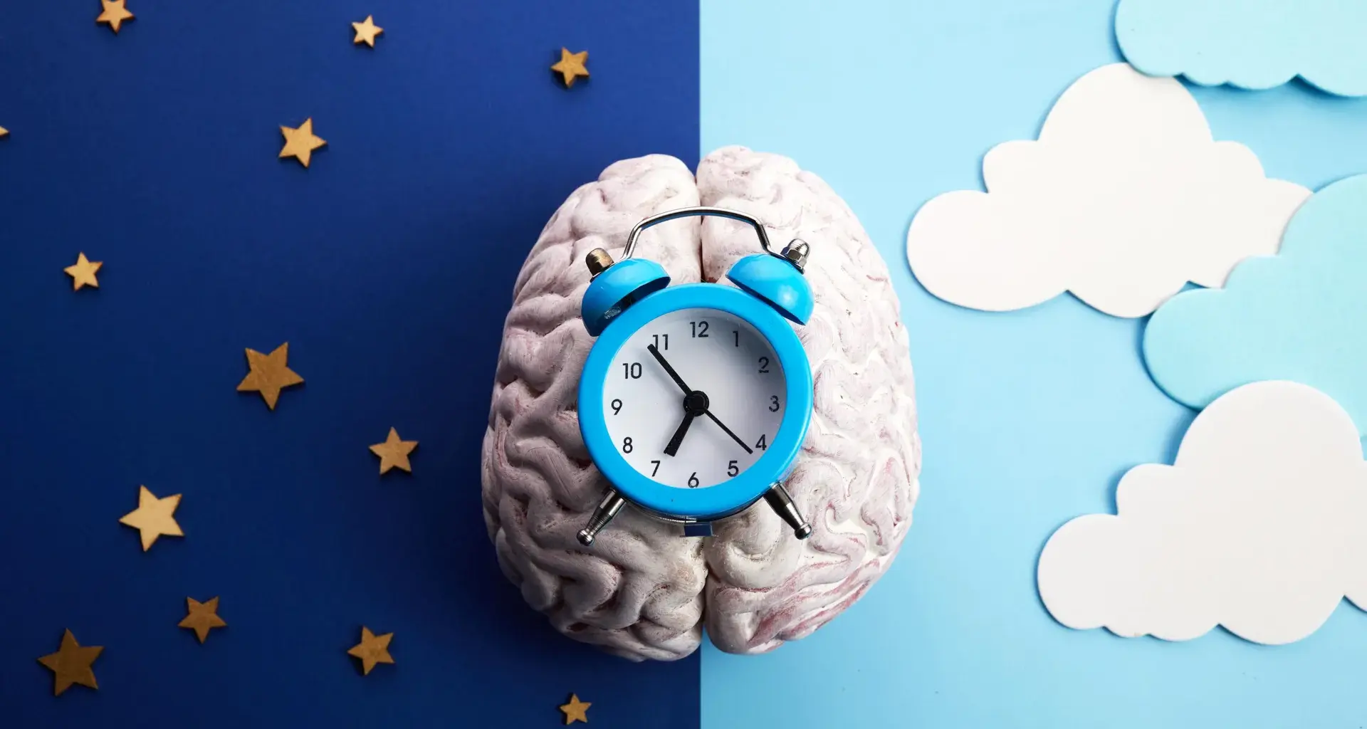 New drug resets the body clock and cuts jet lag recovery nearly in half