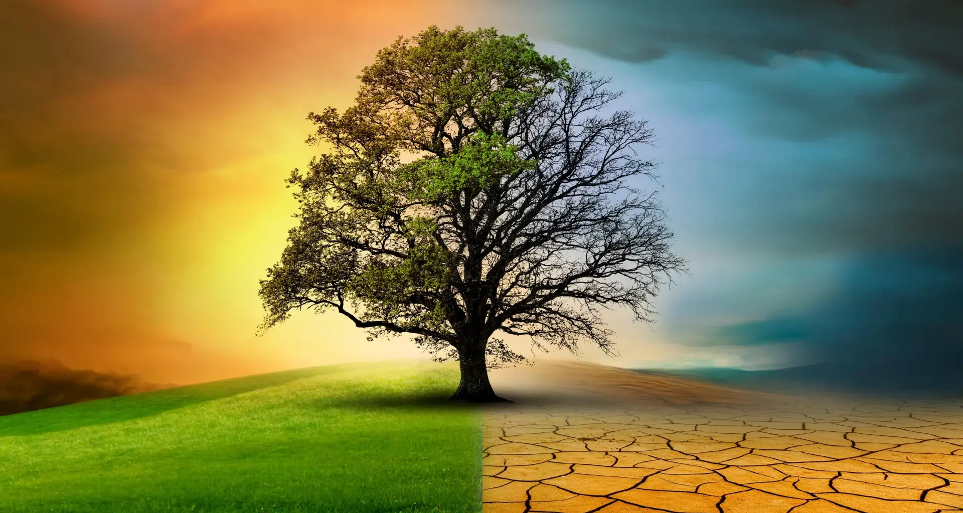 Climate change is accelerating but nature is slowing down