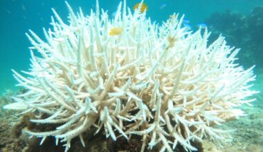 Earth may be approaching irreversible climate tipping points