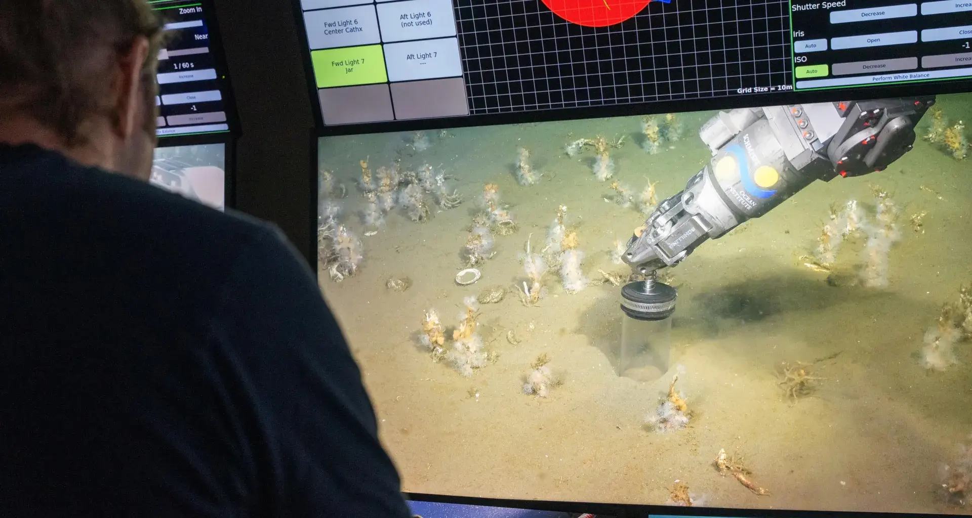 Scientists uncover oxygen-loving ancestor of all complex life