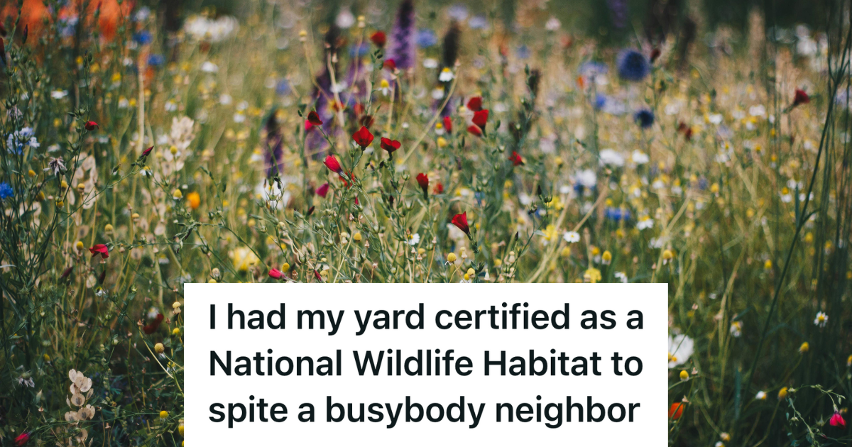 Grocery store employee working in the produce section