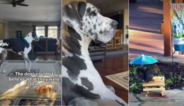 Yahoo lifestyle home