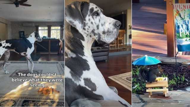 Yahoo lifestyle home