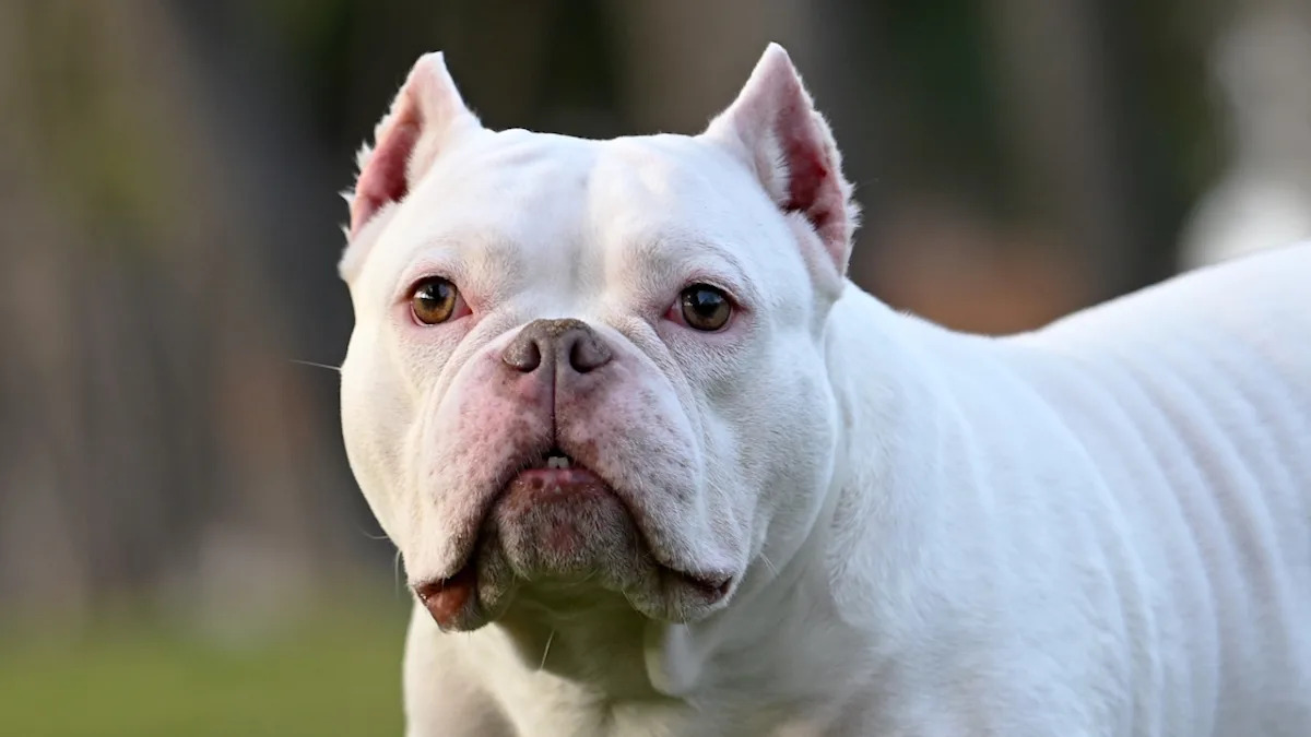 Yahoo lifestyle home