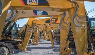 How Caterpillar Became a Butterfly