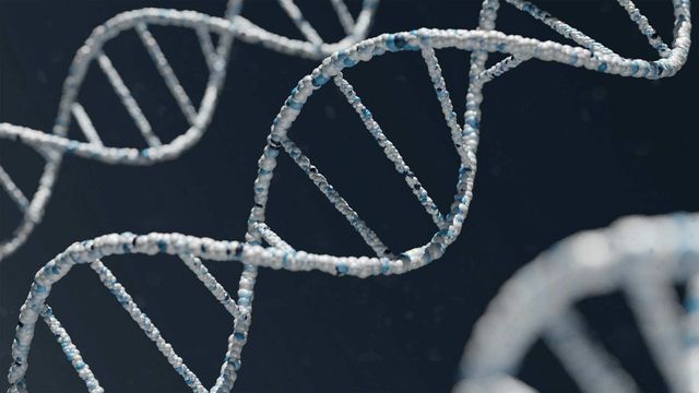 High-Resolution Maps Reveal DNA Variants Driving Disease