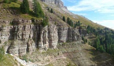 Thunderstorm, not eclipse, drove tree signal spike in Dolomites
