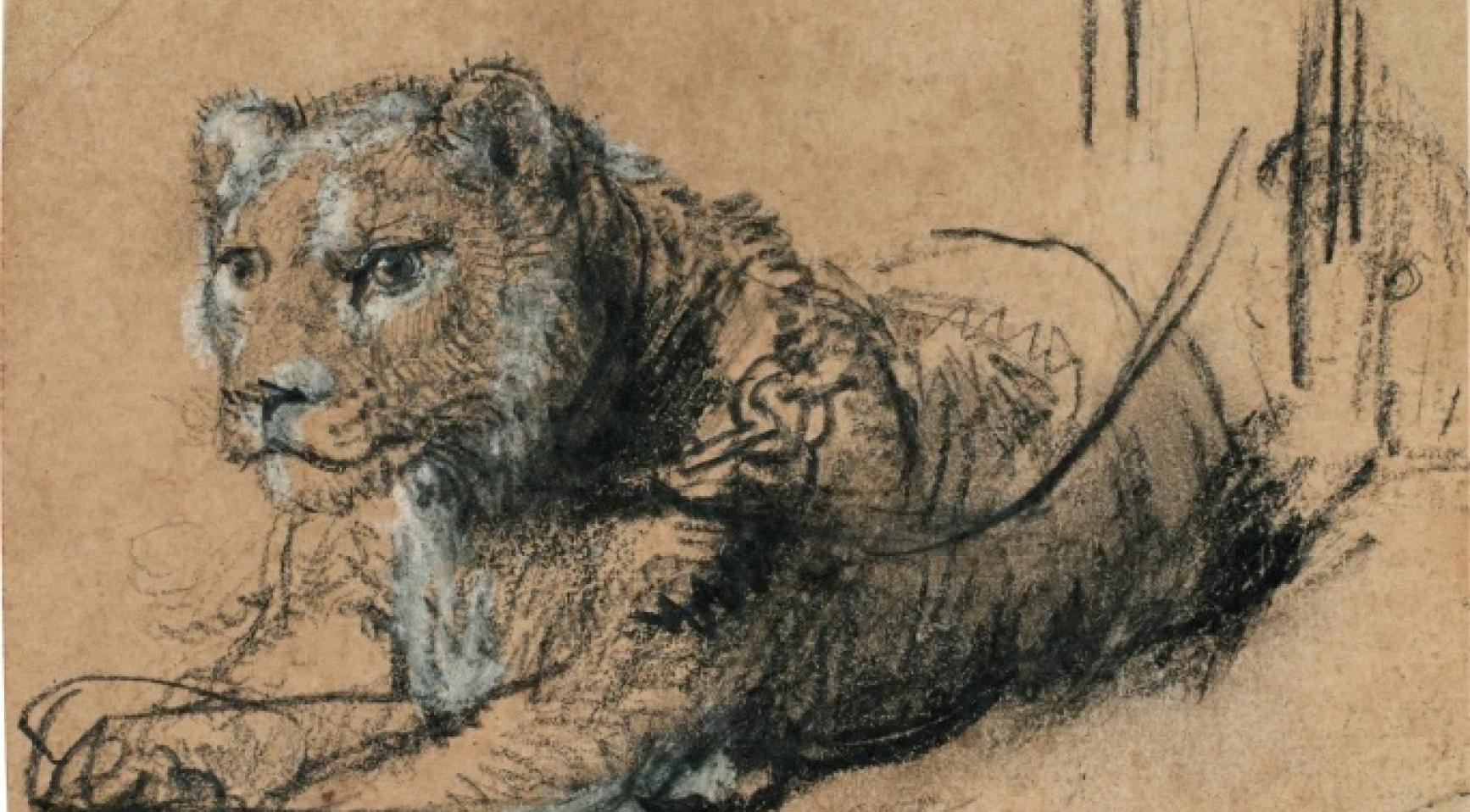 Rembrandt sketch of young lion sells for record €17.8 million
