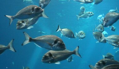 Study Reveals Slowed Ecosystem Turnover Despite Rising Temperatures