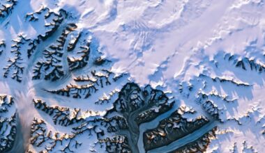 Course correction needed quickly to avoid pathway to ‘hothouse Earth’ scenario