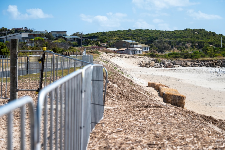 temporary metal fencing atop sand dunes, with beach below, and a number of hay bales.