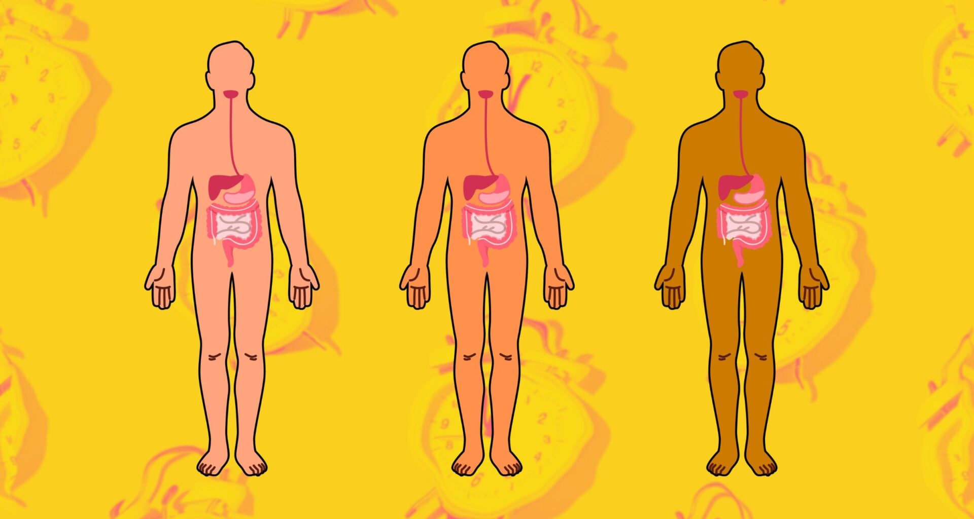 eating close to bedtime with three people with zoomed in digestive systems on a clock background