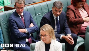 Angus Taylor ousts Sussan Ley as Australia's Liberal Party leader - BBC