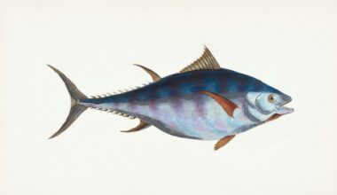 Bluefin Linux: ChromeOS simplicity meets Linux power