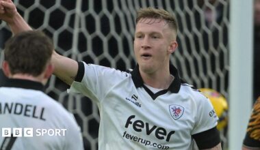 Hull City 2-3 Bristol City: Tigers drop to fourth as squirrel halts play