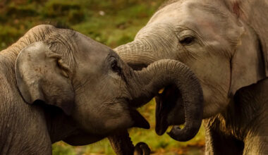 Yahoo lifestyle home