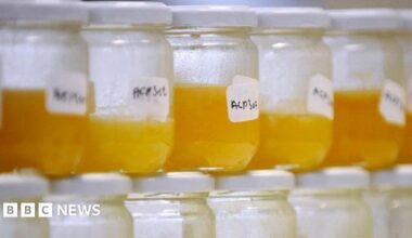 Rows of jam jars containing honey. The labels are handwritten by scientists testing the honey.
