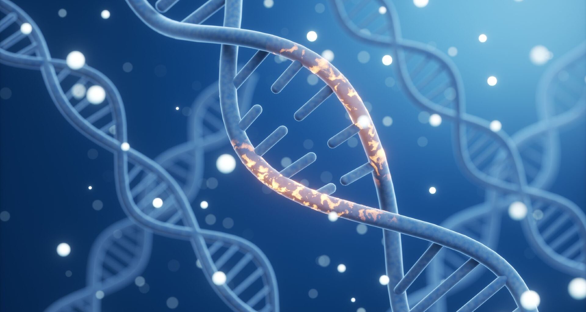 An illustration of blue double-helix strands of DNA surrounded by white bubbles against a blue background. The strand in the foreground closest to the viewer has a middle section lit up in golden light.