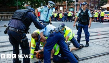 Sydney police to be investigated by watchdog after anti-Herzog protest violence - BBC