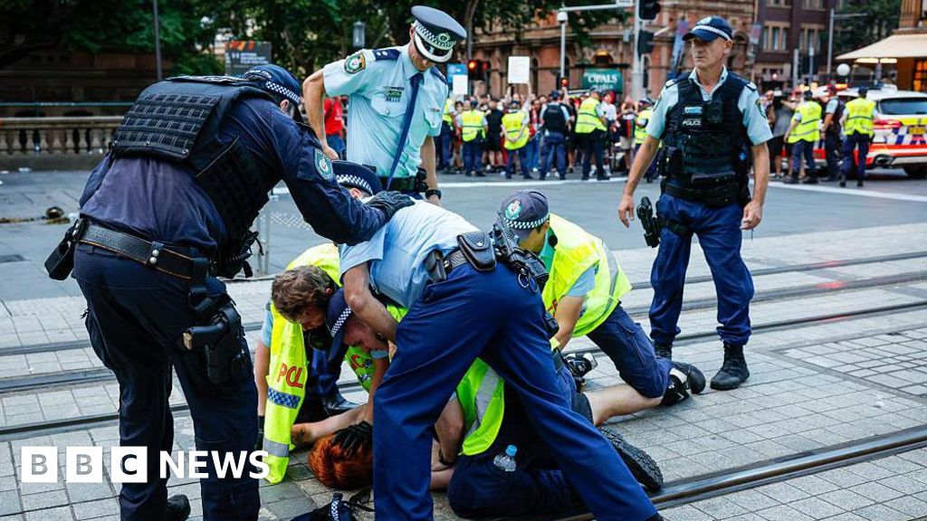 Sydney police to be investigated by watchdog after anti-Herzog protest violence - BBC