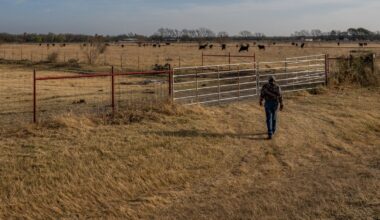 Sixth year of drought in Texas and Oklahoma leaves ranchers bracing for another harsh summer