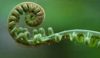 How Indigenous ideas about non-linear time can help us navigate ecological crises