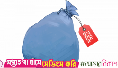 Costly interim policies to put mounting fiscal pressure on next govt