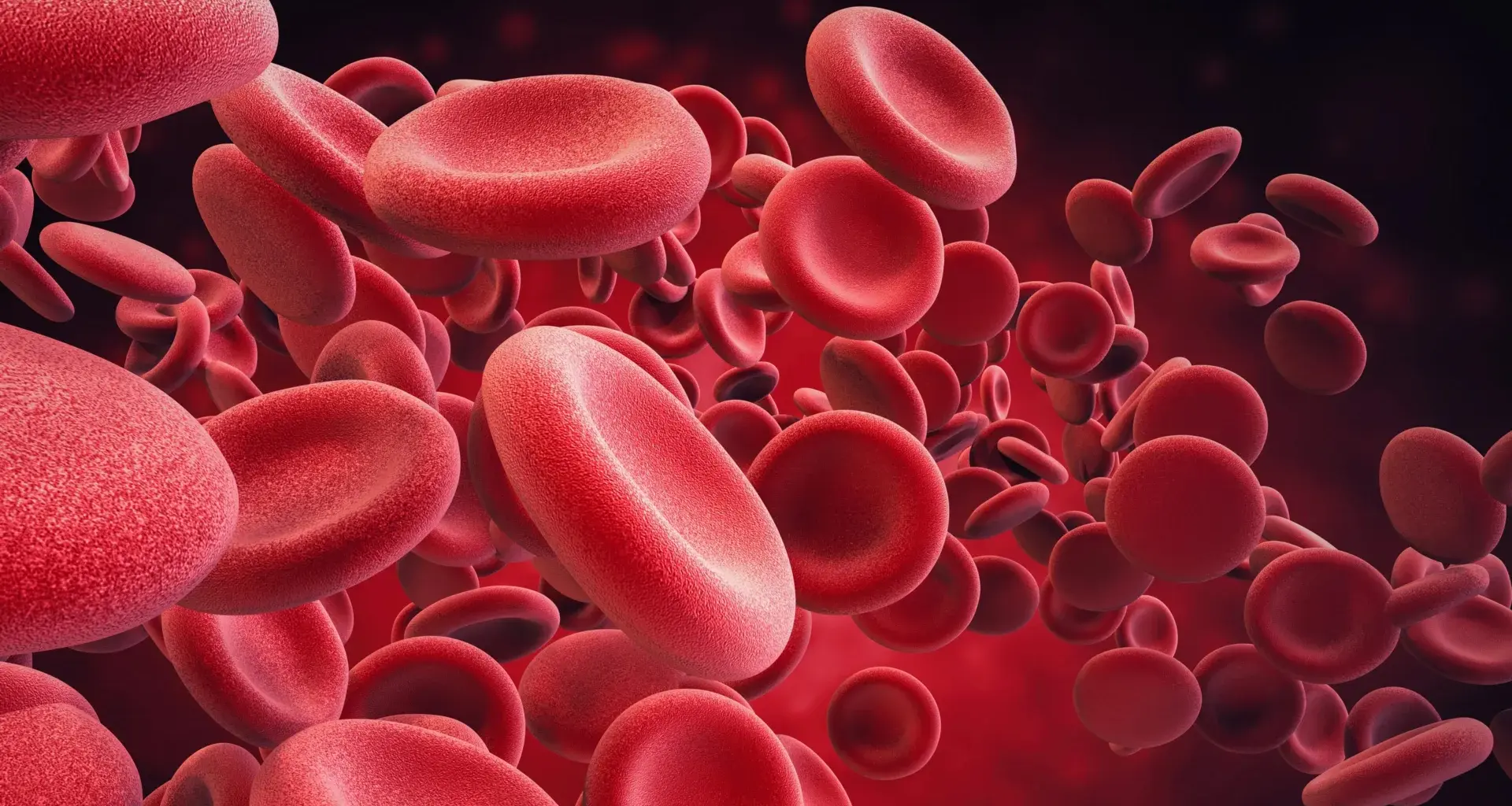 Ultramarathons may damage red blood cells and accelerate aging
