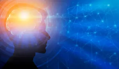 Brain development may continue into your 30s, new research shows