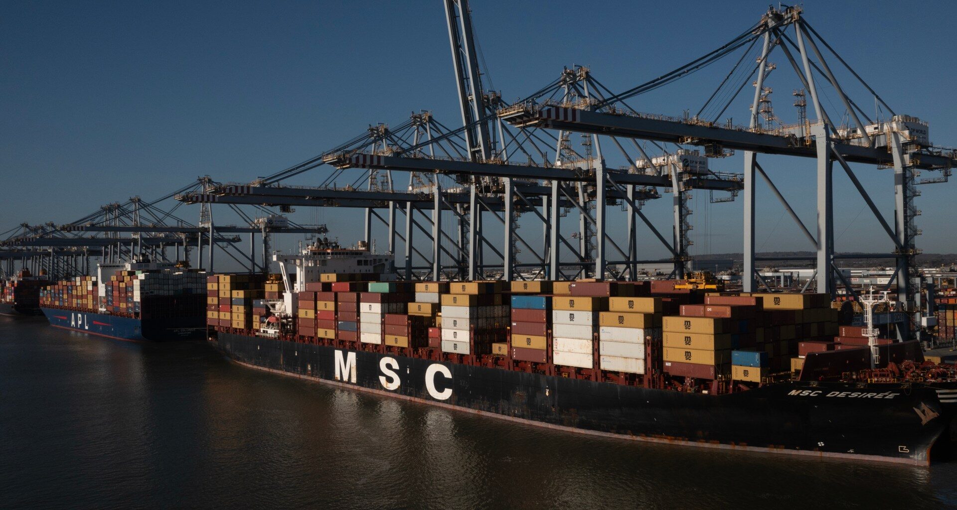 Shipping giant MSC facilitates trade from Israeli settlements through EU | News