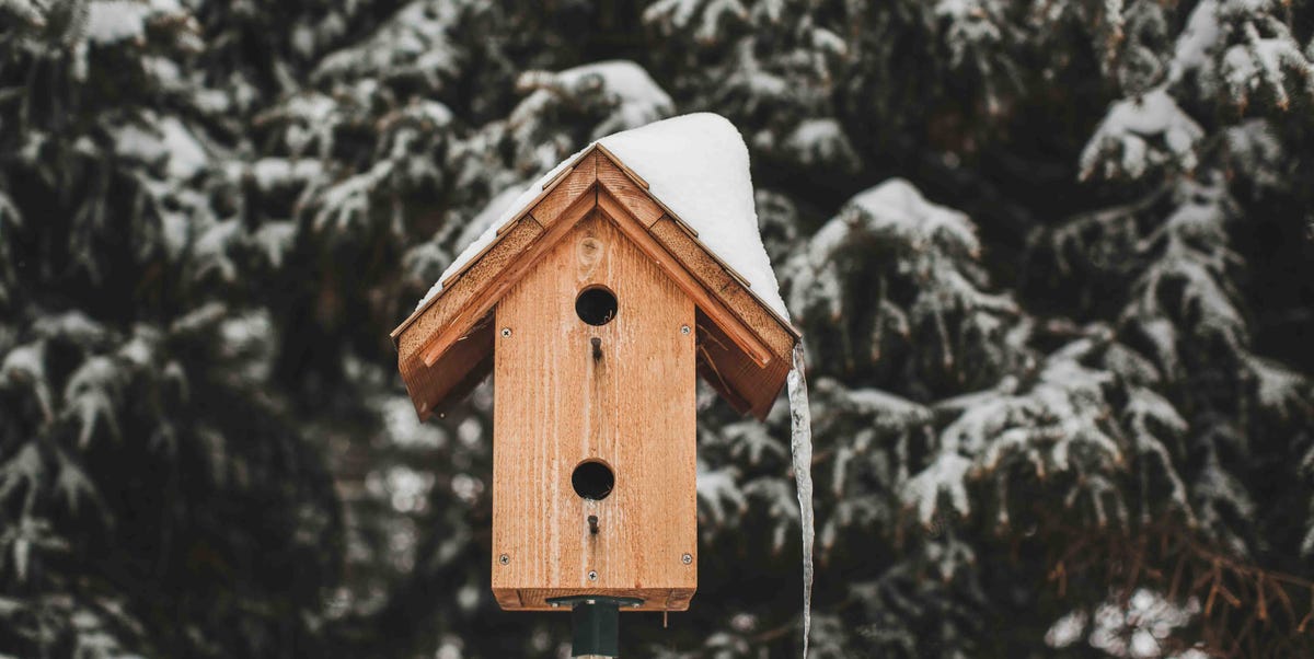 How Old Towels Could Be A Lifeline For Backyard Critters