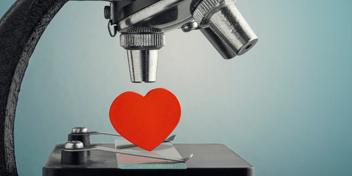 Take Stock of All the Love in Your Life With Our New Four Week Workshop