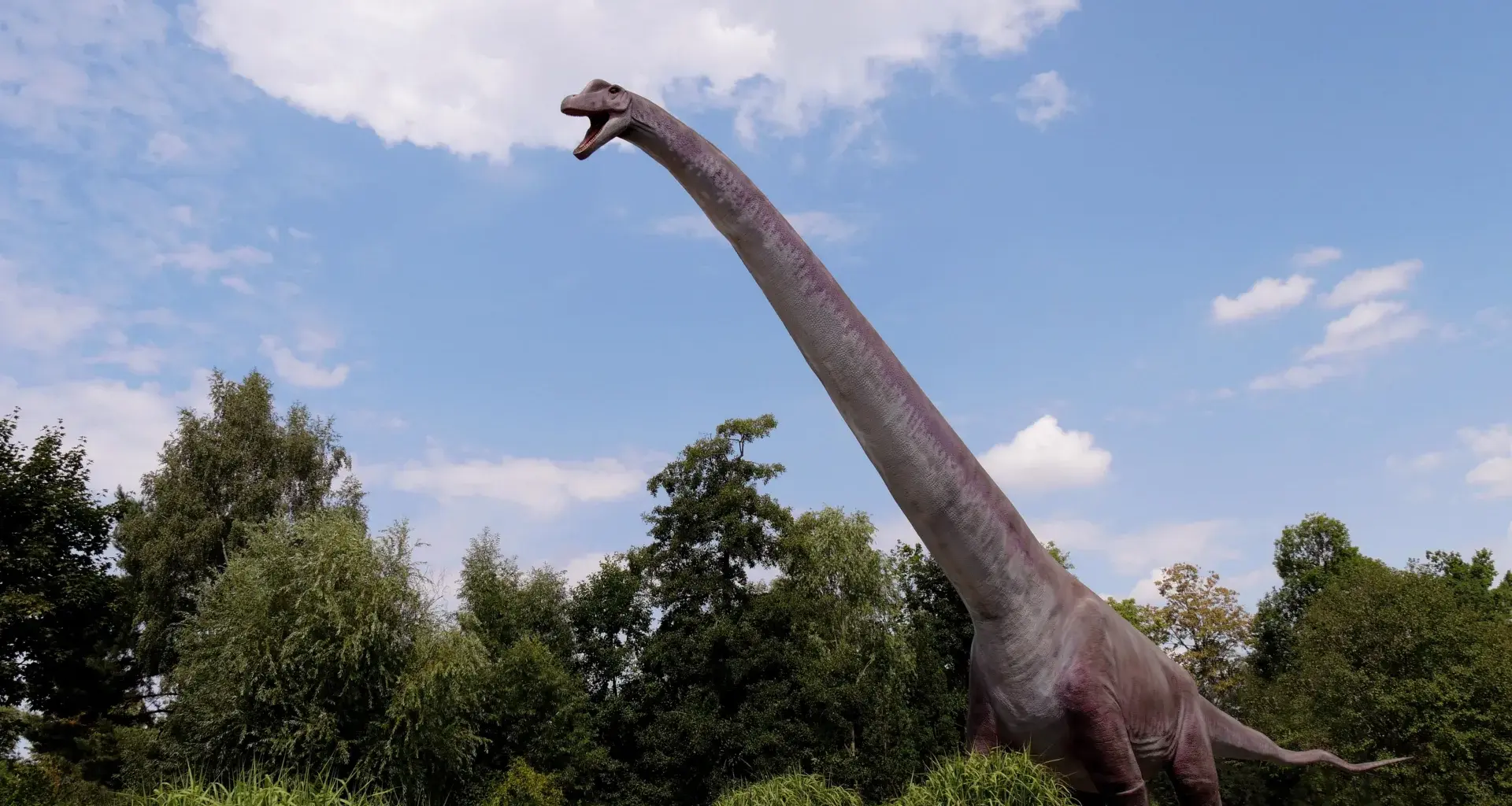 Scientists compared dinosaurs to mammals for decades but missed this key difference