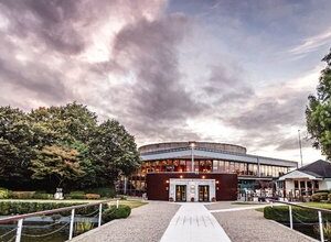 Sale Preview: Goffs February Sale | Topics: Goffs