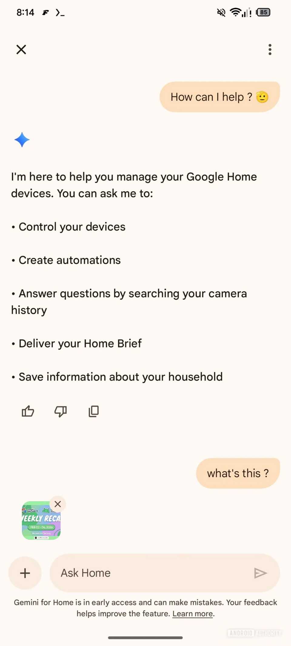 Screenshot showing Google Home Ask Home attachment