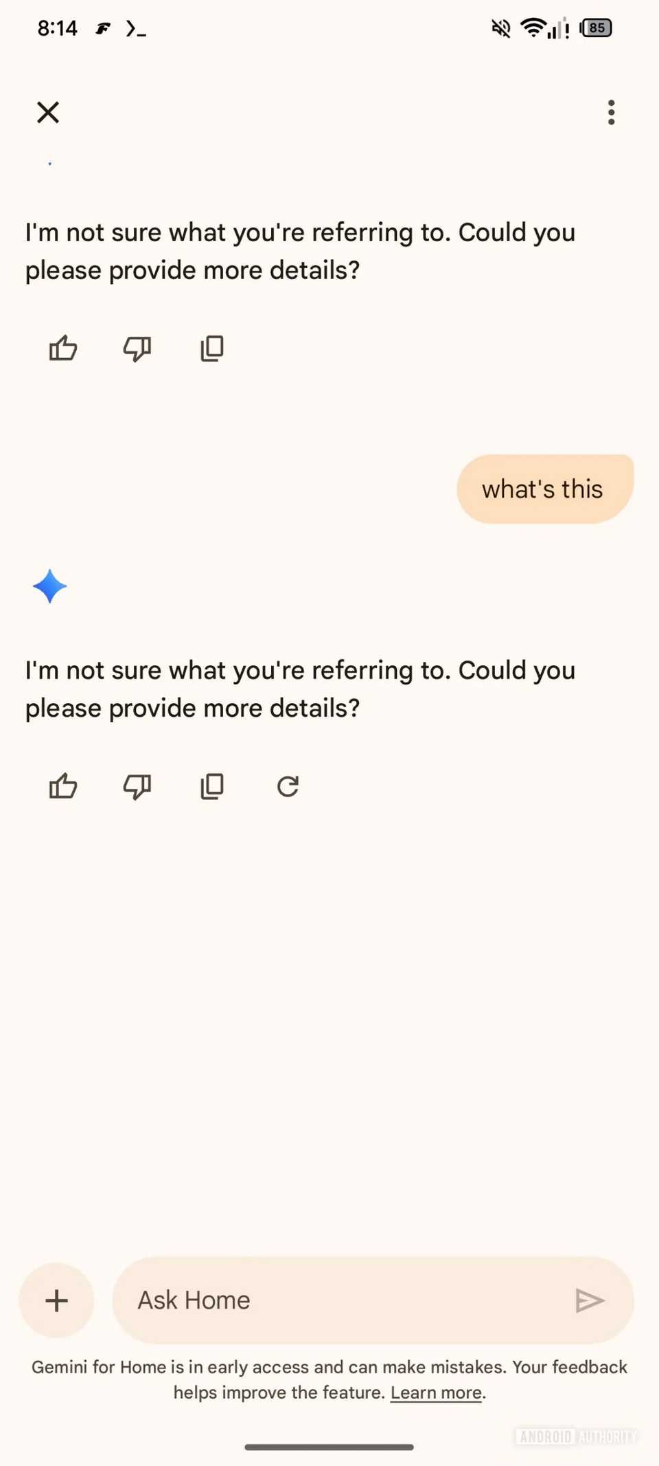 Screenshot showing Google Home Ask Home