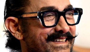 Aamir Khan Denies Role in Ranveer Singh's Exit from Don 3 Amid Industry Speculation