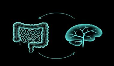 Gut-Brain Link Offers New ALS and FTD Treatment Path