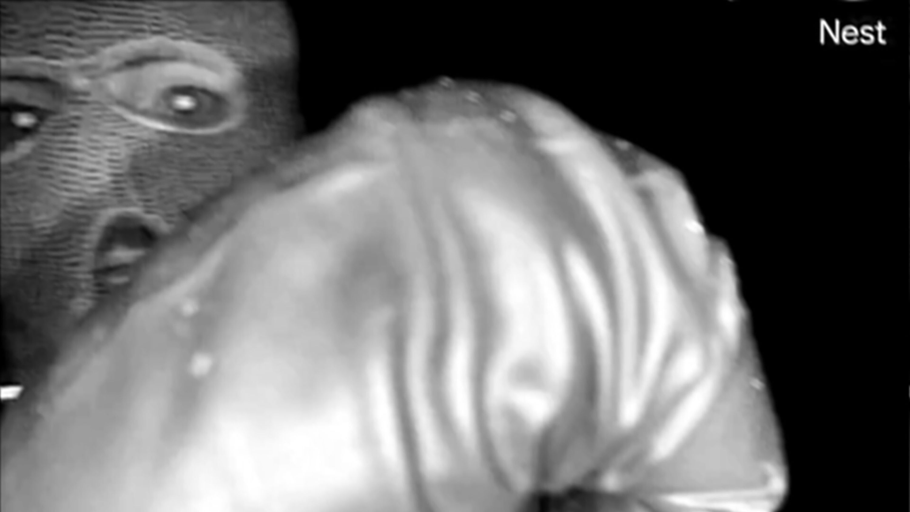 The FBI has released new images from a camera at Nancy Guthrie’s house, showing a person who appears to be wearing a mask.