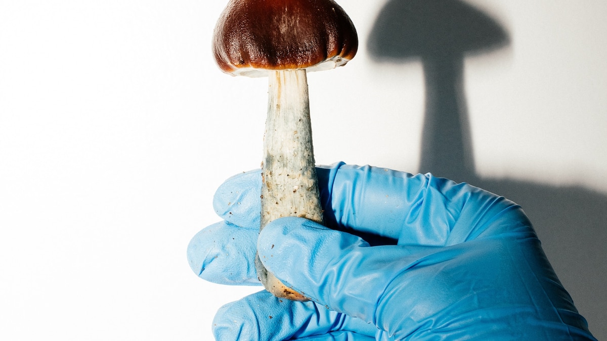 These drugs could be a game changer for end-of-life care