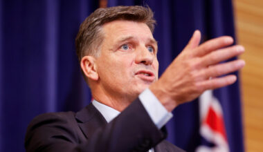 Former McKinsey partner to lead Australian opposition party