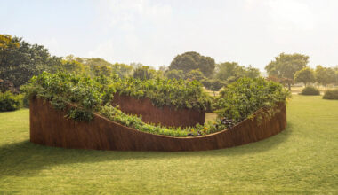 It’s time for gardeners to ask some prickly questions about invasive species