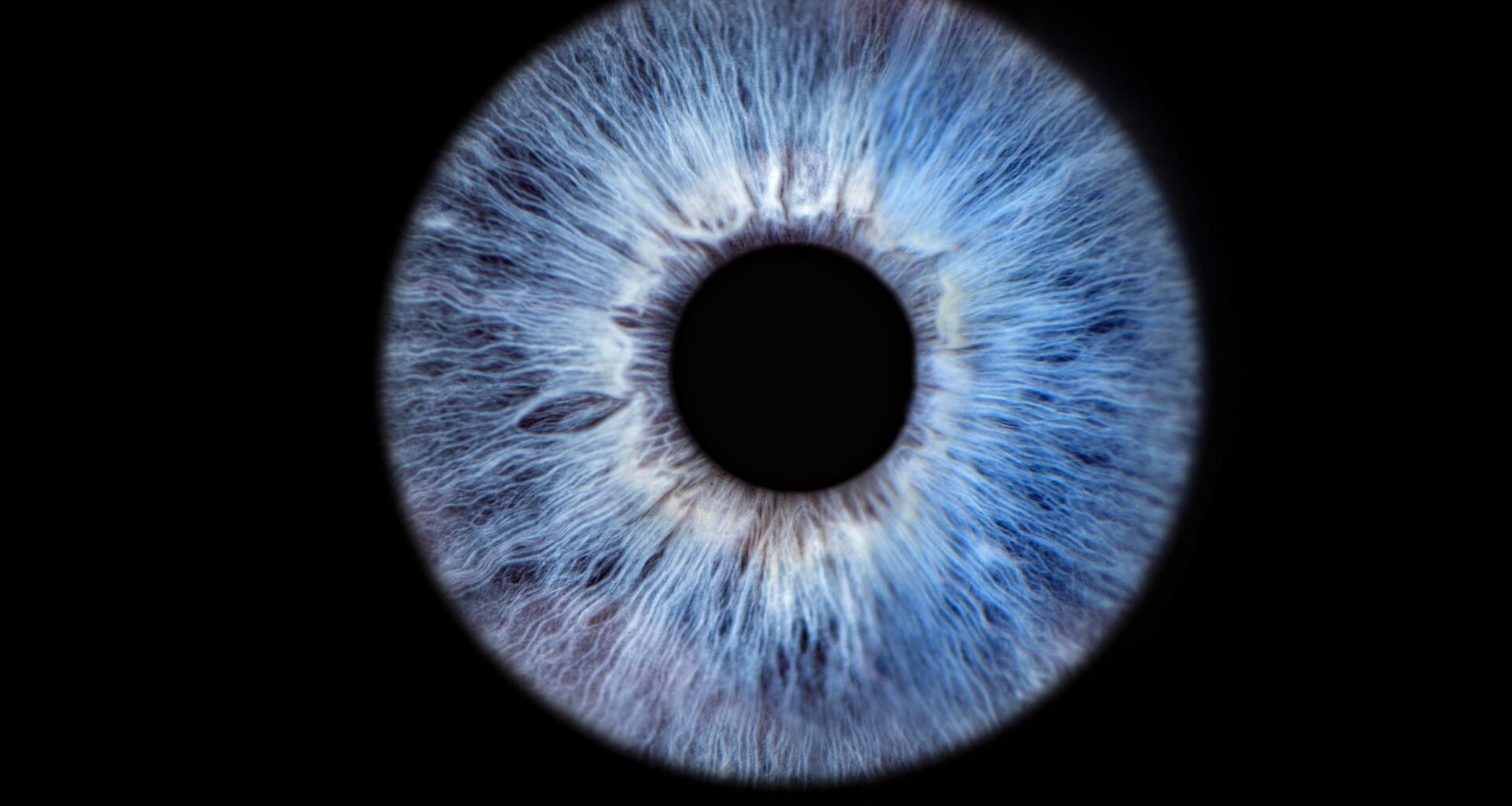 Human eyes can be traced back to an ancient ‘cyclops’ ancestor